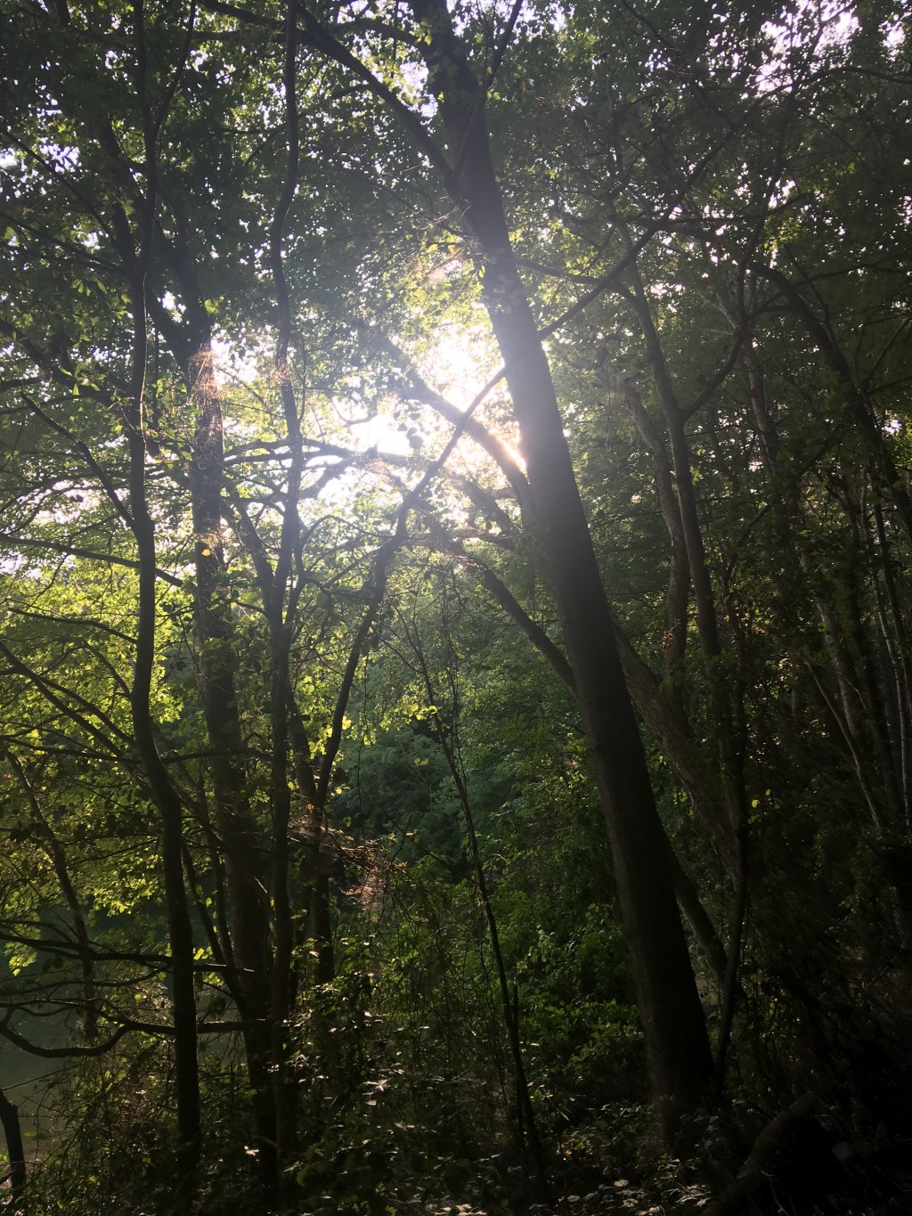 Mystical Lover I&nbsp;Wait…